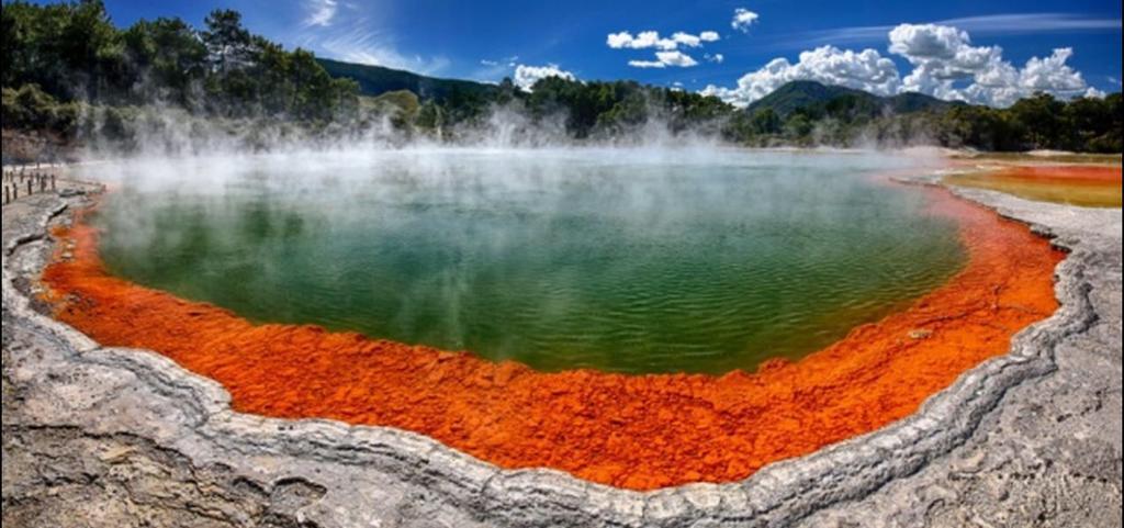 Great View Near Rotorua Lake Esterno foto